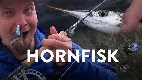 KYSTFISKERI MED JustFishing Hornfisk NAK OG ÆD STYLE YouTube