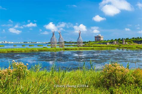 Harry33591a成龍濕地成龍溼地國際環境藝術節濕地溼地沼澤牛挑灣溪鹽分沼澤海岸海濱生態口湖濕地雲林縣口湖鄉