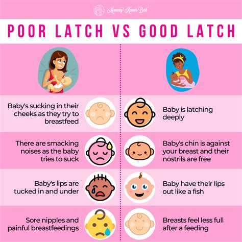 Poor Latch Versus Good Latch In 2024 Breastfeeding Help