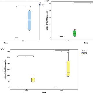 Expression of mRNA level in tumor necrosis factor alpha TNF α treated