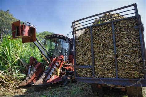 SADER Jalisco Anuncia Programas De Apoyo A Los Sectores Agroalimentario