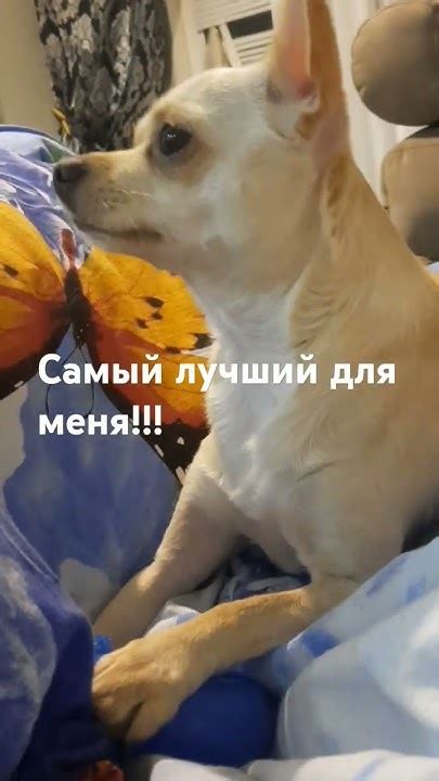 Лучший друг - YouTube