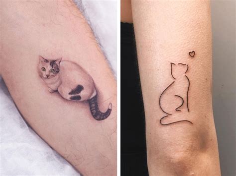 Details More Than 67 Cat On Stomach Tattoo Super Hot In Cdgdbentre