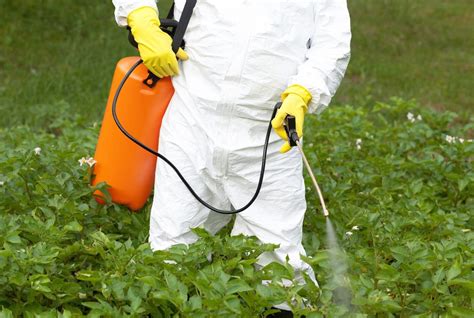 Como aplicar herbicidas Quais as formas de aplicação