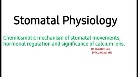 Mechanism Of Opening Closing Of Stomata YouTube