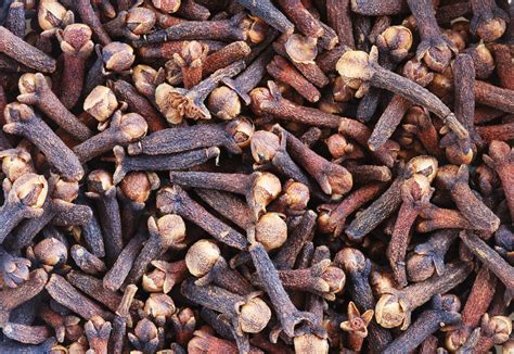 Clove Bud Pure Essential Oil Uses and Benefits - Biosource Naturals