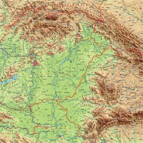 (PDF) Hymenoptera Research in the Carpathian Basin (Hymenoptera: Aculeata)