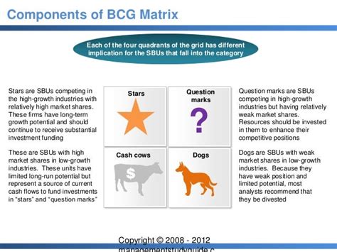 Bcg Matrix