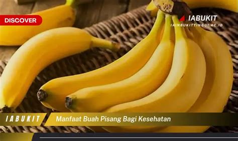 Ketahui 7 Manfaat Buah Pisang Bagi Kesehatan Yang Bikin Kamu Penasaran