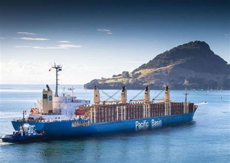 Pacific Basin Linked With Another Bulker Buy - Brisk Marine