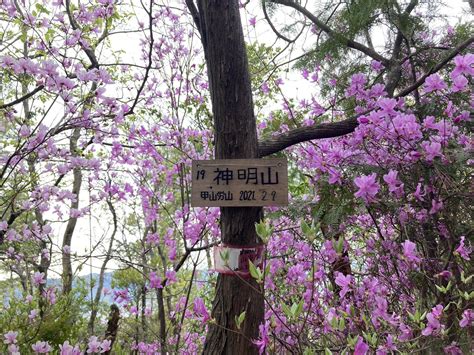 稲荷山・今熊野山・清閑寺山・清水山・東山・神明山・大日山・大文字山・善気山 あさのさんの京都一周トレイルの活動データ Yamap ヤマップ