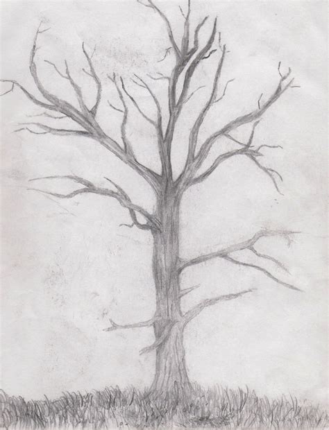 Dead Tree Sketch At Explore Collection Of Dead