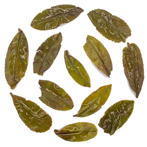 Darjeeling Spring Oolong Buy Directly From The Garden