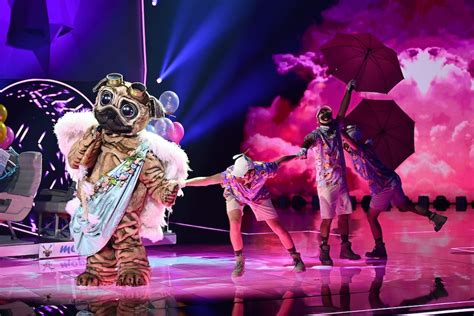 „the Masked Singer“ Der Mops Ist Enttarnt Sie Ist Es Und Das Sind