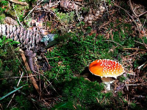 Fotos BZ Leserwanderung von Löffingen nach Lenzkirch Löffingen