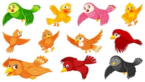 Conjunto De Personaje De Dibujos Animados De Aves Vector Premium