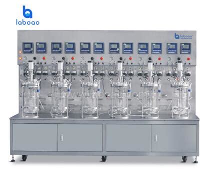 LABOAO 6 12 Conjoined Glass Fermenter Bioreactor LABOAO Specification