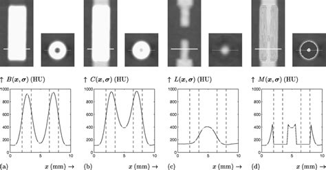 MIP Images Top Left Cross Sections Top Right And Profiles Along The