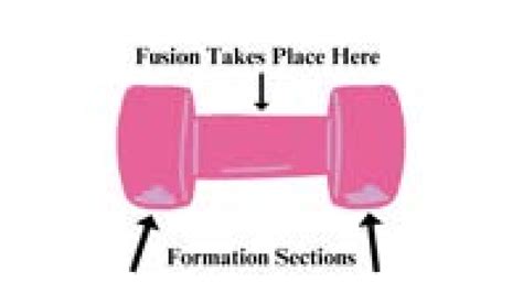 Helion Energy's fusion reactor shape | Download Scientific Diagram