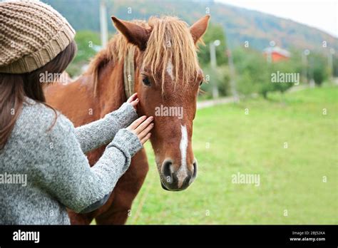 Girl Feeding Horse On Meadow Stock Photo Alamy