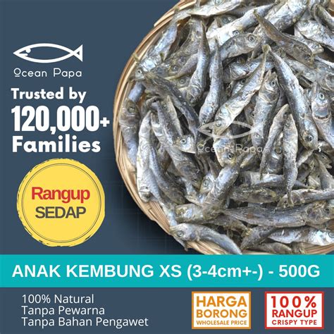 Ocean Papa Ikan Bilis Kembung Temenung Saiz Extra Kecil G Borong