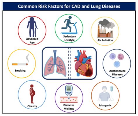 The Evaluation And Management Of Coronary Artery Disease In The Lung