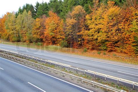 Tomme Motorvej Gennem Efter Ret Skov Med Smukke Farver Stock Foto