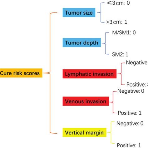 Risk Scores And Classification Of Lymph Node Metastasis For Early Download Scientific Diagram