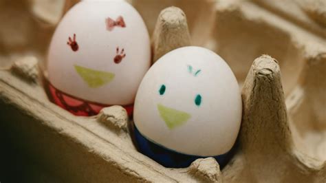 Get Cracking Creative Ways To Reuse Egg Cartons For A Sustainable