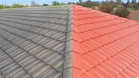 Auckland Roof Painting Services Best Roof Painting In Auckland