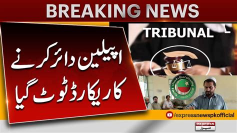 Record Appeals Submitted Tribunal Courts Returning Officers PTI