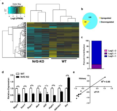 Cardiac Transcriptome In Nrf2 Knockout Mice A Hierarchal Clustering Of