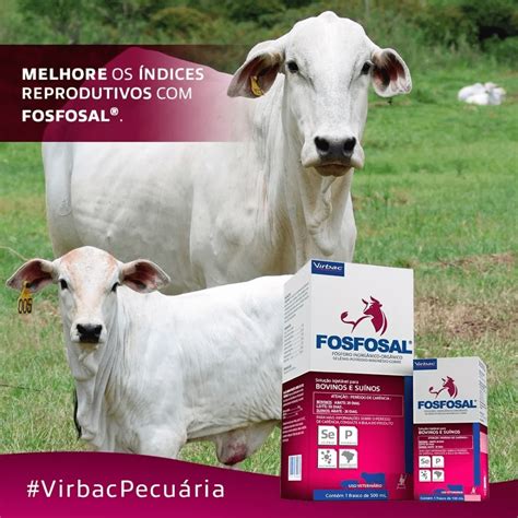 Fosfosal Ml Virbac Isoph S Produtos Agropecu Rios A Loja Mais