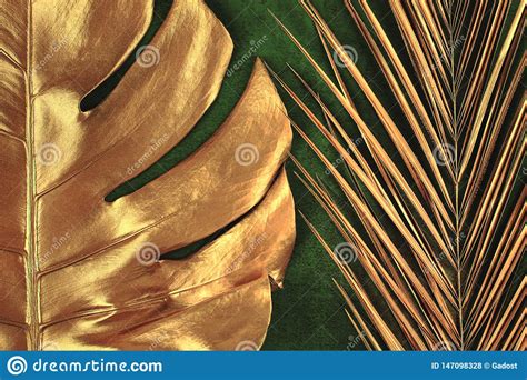 Feuilles D Or De Paume Et De Monstera Sur Le Fond Vert Fonc Photo