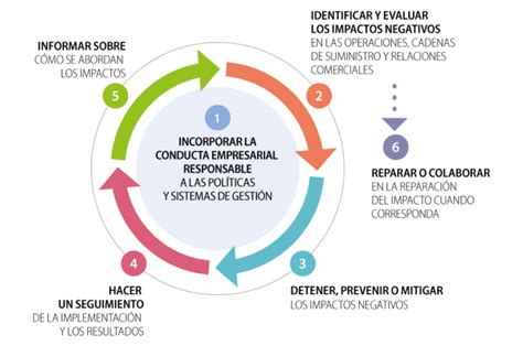 Guia De Debida Diligencia OCDE Info