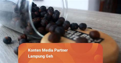 Yuk Kenali Ciri Biji Kopi Kualitas Tinggi Kumparan