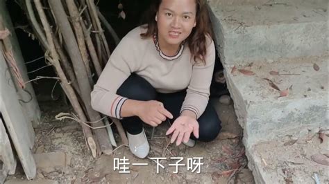 高智商的“地牛”巧设陷阱，诱捕蜈蚣，镜头记录过程，场面真精彩 Youtube