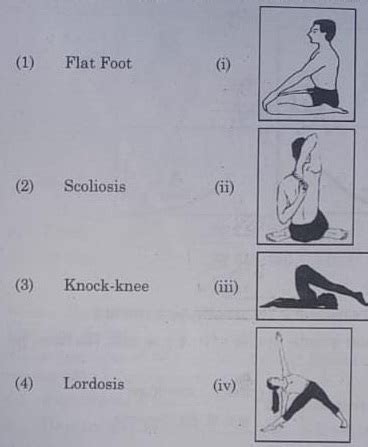 Cbse Answer Key Check Th Physical Education