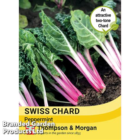 Swiss Chard Peppermint Seeds Thompson And Morgan