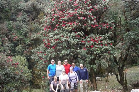 Trekking Privato Di 6 Giorni Al Campo Base Dell Annapurna Con Sorgente