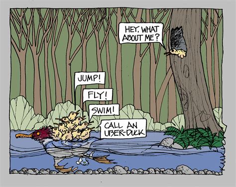 The Mysteries World of Mergansers – allsalmonconsidered.com