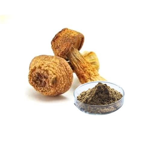 China Agaricus Blazei Extract Manufacturers Suppliers - Factory Direct ...