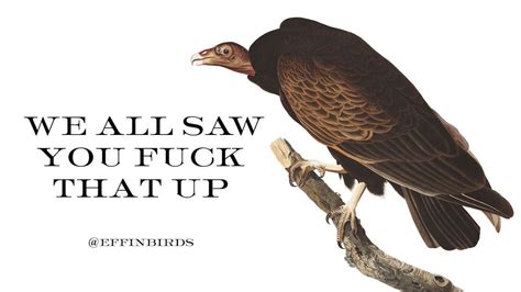 Effin Birds Effinbirds Twitter Funny Birds Bird Book Work Humor