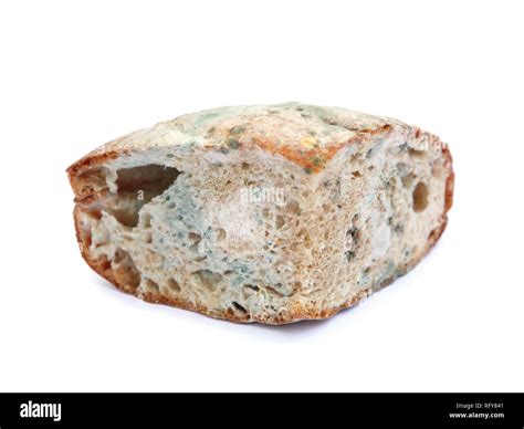 moldy bread isolated  white stock photo alamy