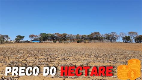 Pre O De Hectare De Terra Na Minha Regi O Mg Youtube