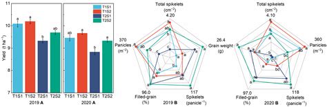 Agronomy Free Full Text Influence Of Wheat Straw Return On Yield