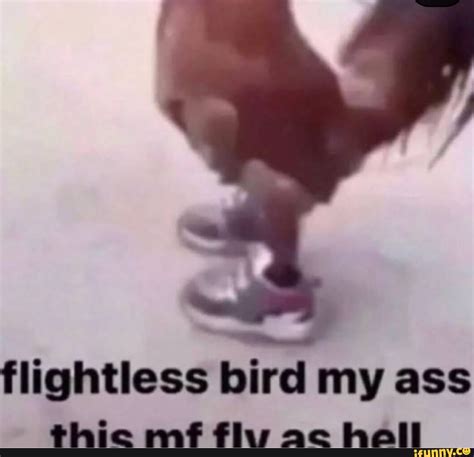 Flightless Bird My Ass Thic Mf Flag Ac Hall Ifunny