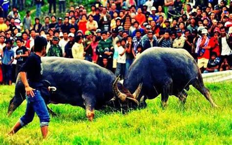 Budaya Unik Khas Indonesia Yang Wajib Kamu Tahu Part Rumah Makan