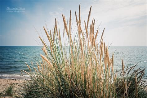 Sylt Strand Und Dünengras Alexander Voss Fine Art Fotografie