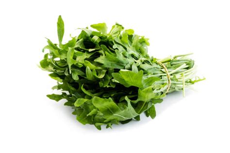 Arugula Bunch Stock Photos Pictures And Royalty Free Images Istock